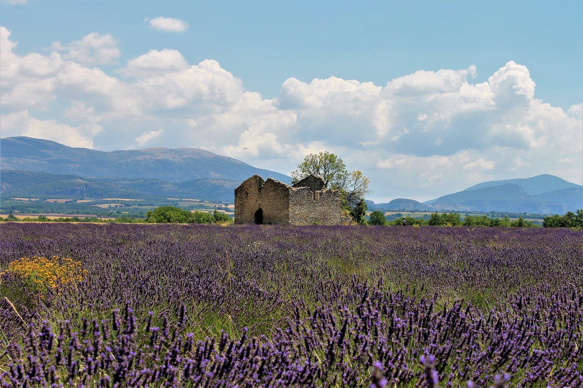 Provence SENSYL